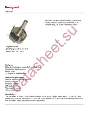 53C310K datasheet  